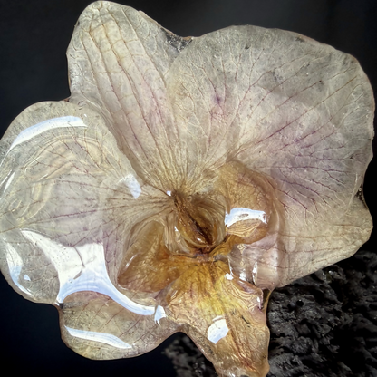 Bague orchidée blanc/mauve. Pièce unique A